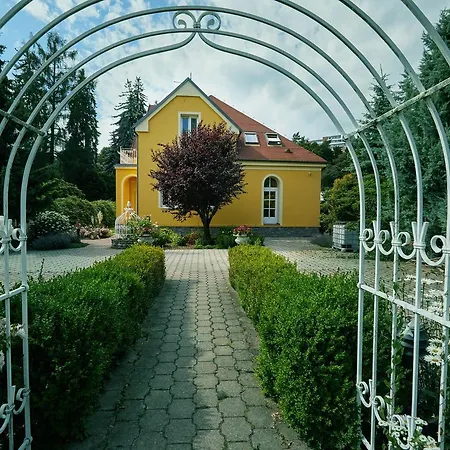 Millenium Zlín